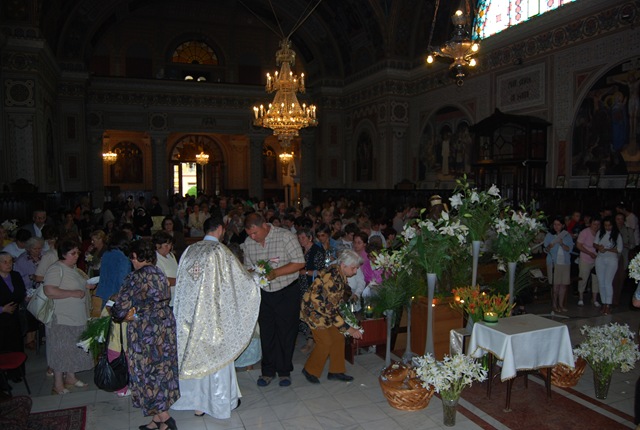 Distribuirea crinilor