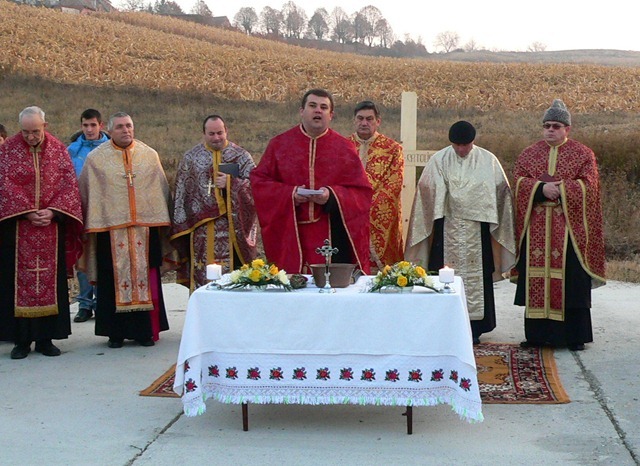 Pr. paroh Radu Stejar