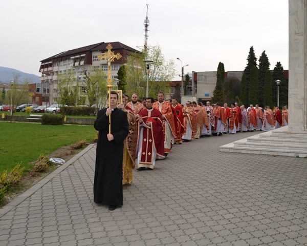 1 DSC_0091a